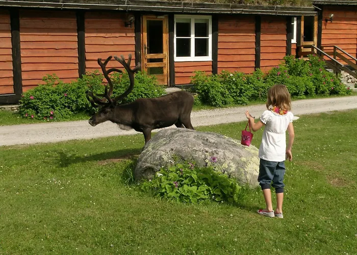 Femundtunet