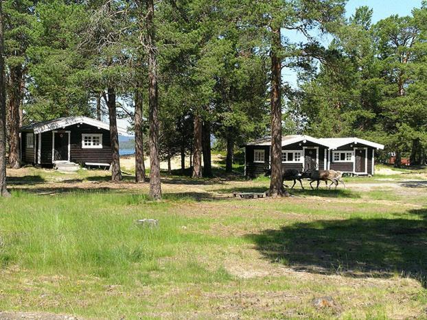 Hotel Femundtunet