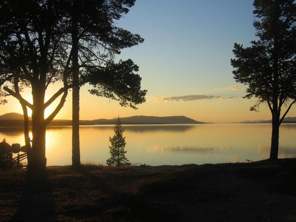 Femundtunet Drevsjo